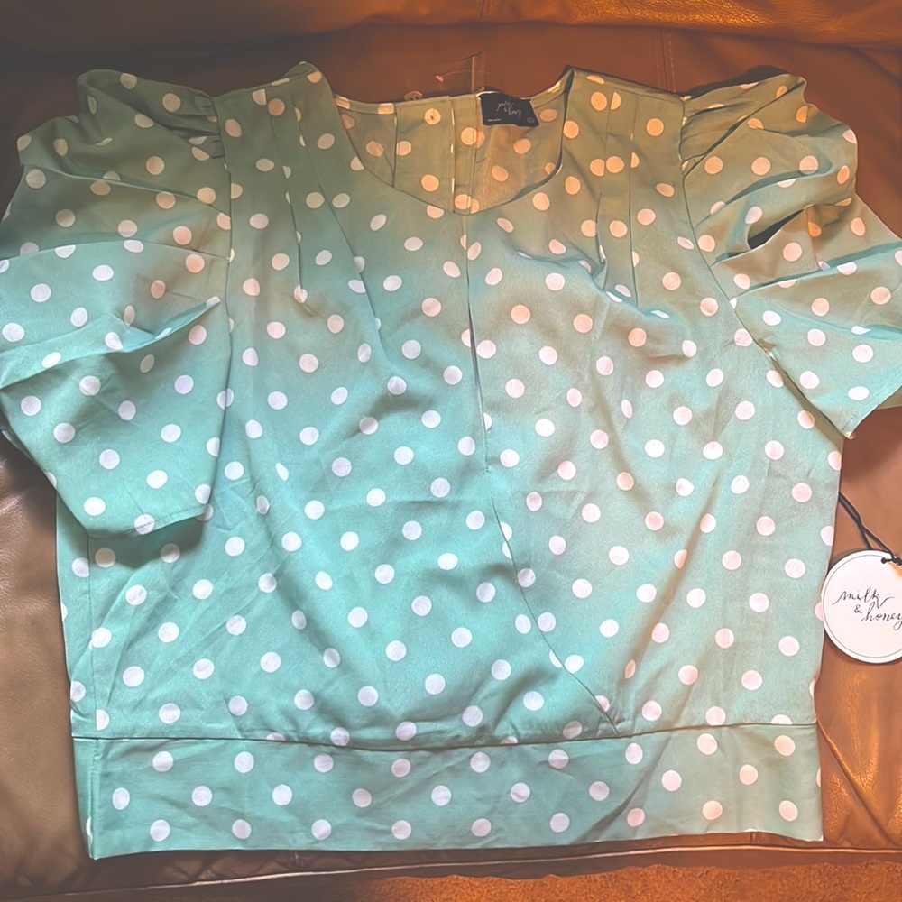 Size XL polka dot mint green casual top. Made by Milk & Honey